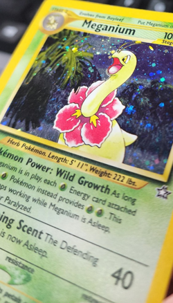 Meganium 11/111 Holo Rare Neo Genesis Pokemon Unlimited Holo Lightly Played - Image 5