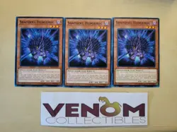 3x (M/NM) Shaddoll Hedgehog - SDSH-EN005 - Common 1st Edition - Image 1