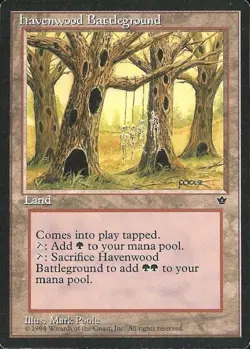 Havenwood Battleground - Medium Play MTG Fallen Empires - Image 1