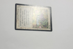 Beta Karma Uncommon LP Magic the Gathering Card - Image 3