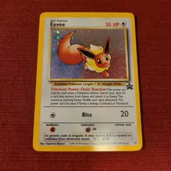 Pokemon TCG Wizards 1999 Lot 6 Eevee, promo holo Eevee, Flareon Jolteon Vaporeon - Image 3