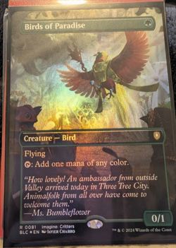 Birds of Paradise (Borderless) Commander: Bloomburrow Foil - Image 1