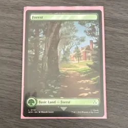 Wizards of the Coast MTG 5-Card Basic Land Lot Island Fo Plains Eng 2024 LANDS17 - Image 4