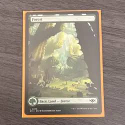 Wizards of the Coast MTG 5-Card Basic Land Lot Island Fo Plains Eng 2024 LANDS17 - Image 5