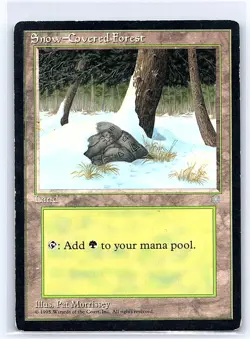 Snow-Covered Forest Ice Age 347 - Image 1