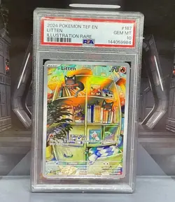 Litten #167/162 Illustration Rare Temporal Forces Pokemon 2024 PSA 10 - Image 1