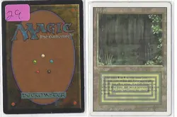 Bayou Revised Ed. - Lightly Played Dual Land Magic the Gathering - MTG - Image 1