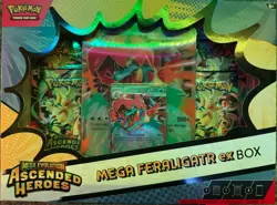 Pokemon TCG Lot Mega Lucario Poster Collection/ Meganium/Feraligatr ex/ Mini Tin - Image 3