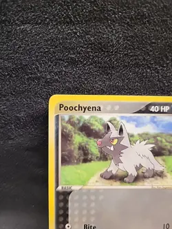 Poochyena 63/109 Ruby And Sapphire Pokemon E Reader Card Non Holo - Image 2