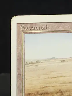 Savannah - - Moderately played - English - Revised Edition - Vintage - Image 3