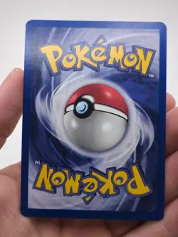 KANGASKHAN Pokemon Set Jungle Unlimited Holo 5/64 - PORTUGUESE - Image 3