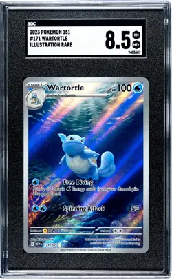 2023 Pokemon Scarlet & Violet 151 Illustration Rare Wartortle #171/165 SGC 8.5 - Image 1
