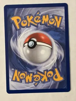 Pokemon First Partner Illustration SQUIRTLE - Image 2