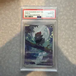 2025 POKEMON ZORUA ILLUSTRATION RARE WHITE FLARE #142 PSA 10 - Image 1