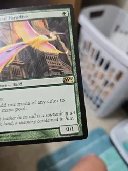 Magic: The Gathering Birds of Paradise Card - Image 3