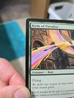 Magic: The Gathering Birds of Paradise Card - Image 4