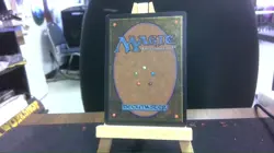 show and tell mtg - Image 2