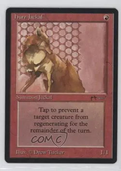 Hurr Jackal Magic: Arabian Nights 1993 - Image 1