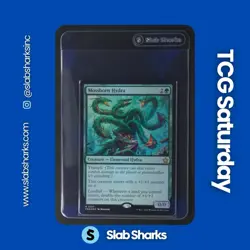 2024 MAGIC: THE GATHERING FOUNDATIONS #0107 MOSSBORN HYDRA FOIL - Image 1