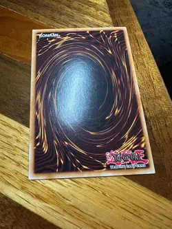 Panther Warrior MIL1-EN036 1st Edition Rare PL + BONUS - Image 2