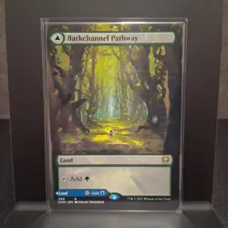 MTG Barkchannel Pathway Tidechannel Pathway (Borderless) Kaldheim Regular - Image 1