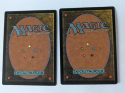 2 Femeref Enchantress Visions MTG NM Free shipping with tracking - Image 2