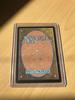 Beseech the Mirror Wilds of Eldraine Regular MTG NM+ - Image 2