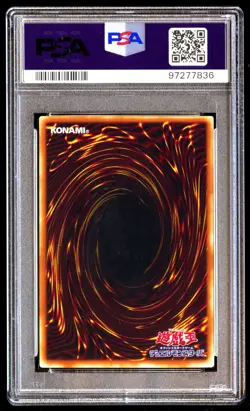 PSA 8 NM Mint Black Skull Dragon RB-18 Parallel 2000 Japanese Graded Card - Image 2