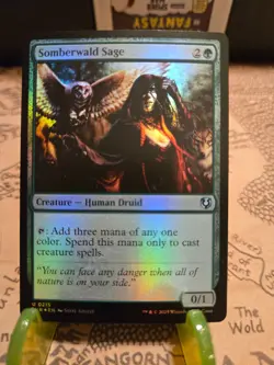 MTG Somberwald Sage Innistrad Remastered Foil Uncommon NM - Image 1
