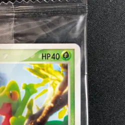 Sealed Treecko 037/PCG-P Pokemon Center Yokohama Promo Card 2005 Yuka Morii - Image 3