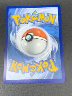 Lycanroc VMAX 213/203 Hyper Secret Rare SWSH Evolving Skies Pokemon NM 2021 - Image 2
