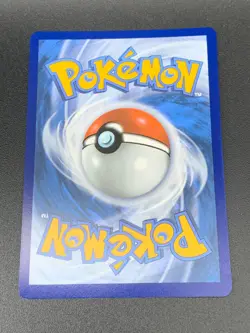 Lycanroc VMAX 213/203 Hyper Secret Rare SWSH Evolving Skies Pokemon NM 2021 - Image 3