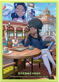 Trainer Collection Gift Box FULL SET Individual Sleeves Pokemon China Originals - Image 3