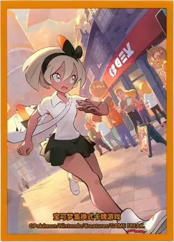 Trainer Collection Gift Box FULL SET Individual Sleeves Pokemon China Originals - Image 4