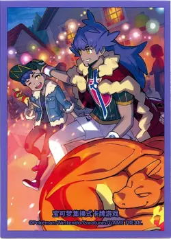 Trainer Collection Gift Box FULL SET Individual Sleeves Pokemon China Originals - Image 5