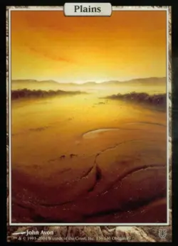 Plains (136) -Foil Medium Play MTG Unhinged - Image 1