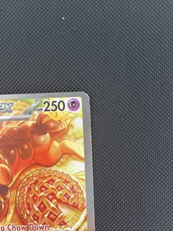 Pokemon TCG Dachsbun ex 169/142 SV07 Stellar Crown SIR Full Art Holo 250 HP - Image 3