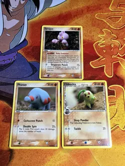 Yuka Morii Pokemon Card Lot - Fighting Lot - Tyrogue, Chikorita, Phanpy - NM - Image 1