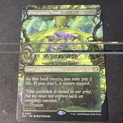 Overgrown Tomb (Borderless) Lorwyn Eclipsed Regular - Image 2