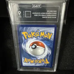 Pokemon Oricorio ex 024 Mega Evolution Black Star Promo TAG Mint 9 - Image 2
