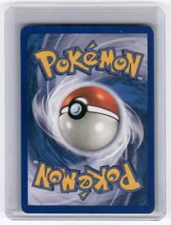 Poochyena Ruby and Sapphire Common Pokemon Near Mint or Better - Image 2