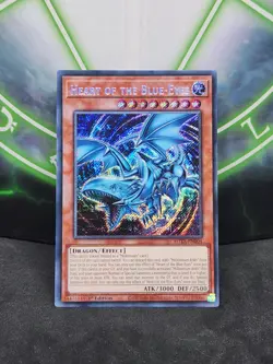 Yugioh Heart of the Blue-Eyes ROTA-EN004 Secret Rare 1st Edition NM - Image 1