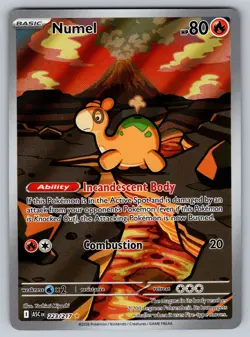 Numel 223/217 Illustration Rare ME: Ascended Heroes Pokemon Holo MINT+ - Image 1