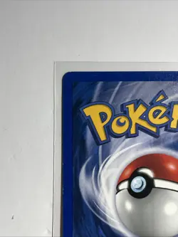 Chikorita [Unlimited] 53/111: Neo Genesis WOTC 2000 - Pokemon card - LP - Image 4