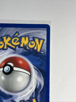 Chikorita [Unlimited] 53/111: Neo Genesis WOTC 2000 - Pokemon card - LP - Image 5
