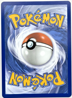 Litten 44 ME Black Star Promo Pokemon TCG Near Mint - Image 2