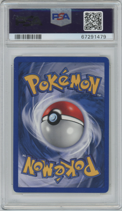 1999 Pokemon Base Set Gyarados 6/102 Shadowless Holo PSA 8 - Image 2