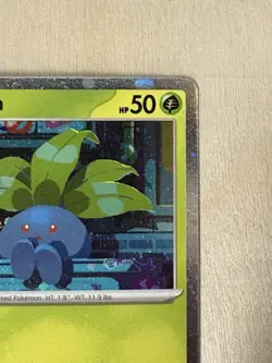 Oddish Cosmos Holo w/SWIRL! Phantasmal Flames Common 001/094 Pokemon TCG - Image 4