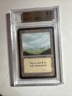 MTG ALPHA Plains Version 2 BGS 9.5 QUAD GEM MINT! (all subs Gem Mint) 1993 - Image 1
