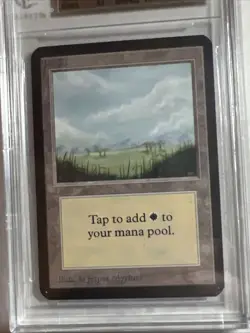 MTG ALPHA Plains Version 2 BGS 9.5 QUAD GEM MINT! (all subs Gem Mint) 1993 - Image 3
